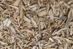 biomass boilers Furzton